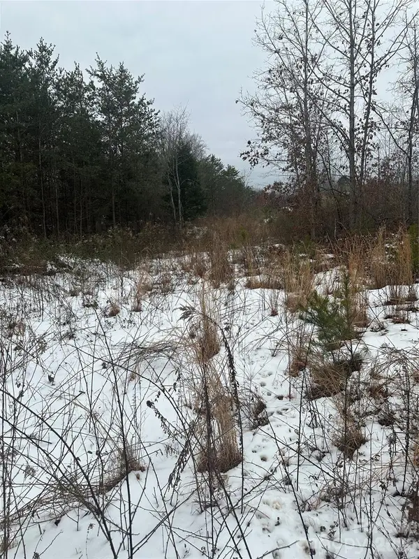 000 Norman Parker Road, Lawndale, NC 28090