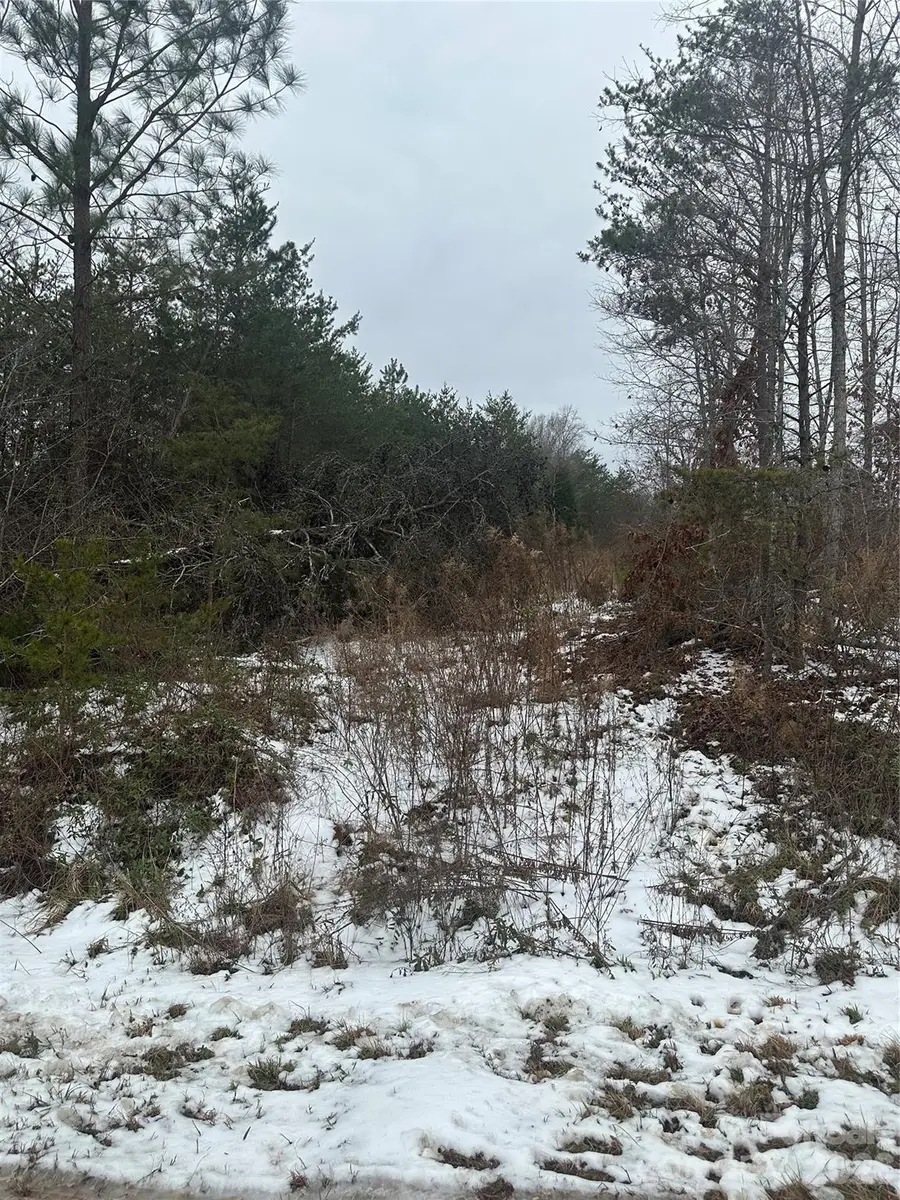 000 Norman Parker Road, Lawndale, NC 28090 - #2