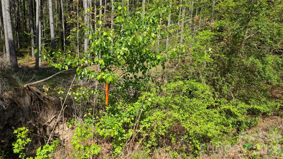 TBD Boyd Road, Blackstock, SC 29014 - #3