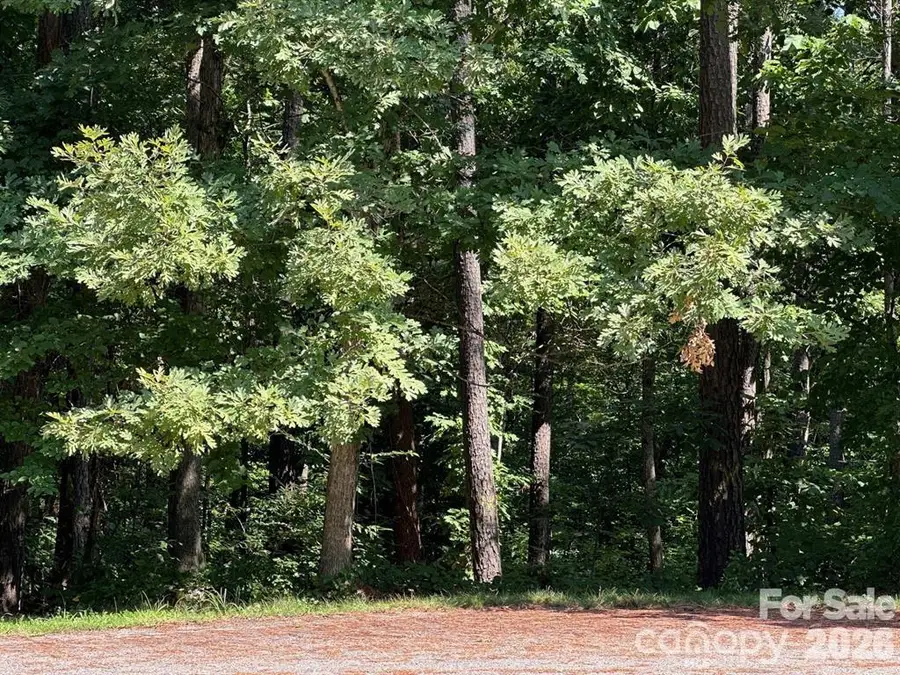 32 Miners Creek Drive, Lincolnton, NC 28092 - #2