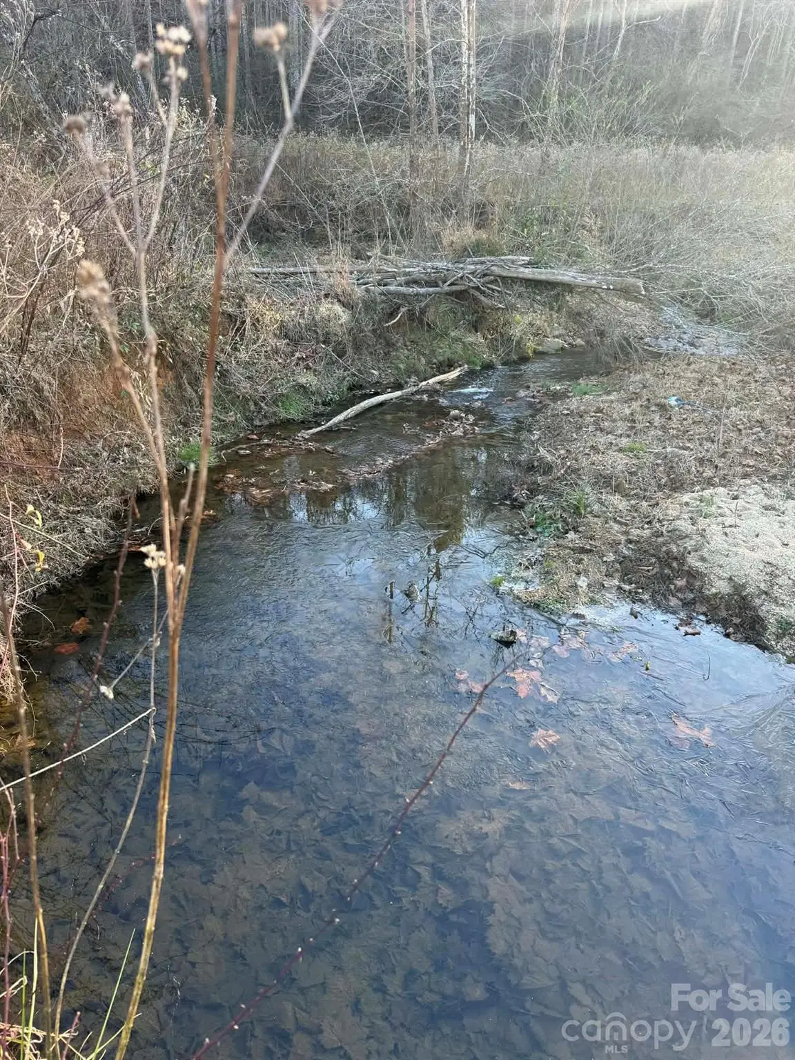 003 Rock Creek Church Road, North Wilkesboro, NC 28659 - #1