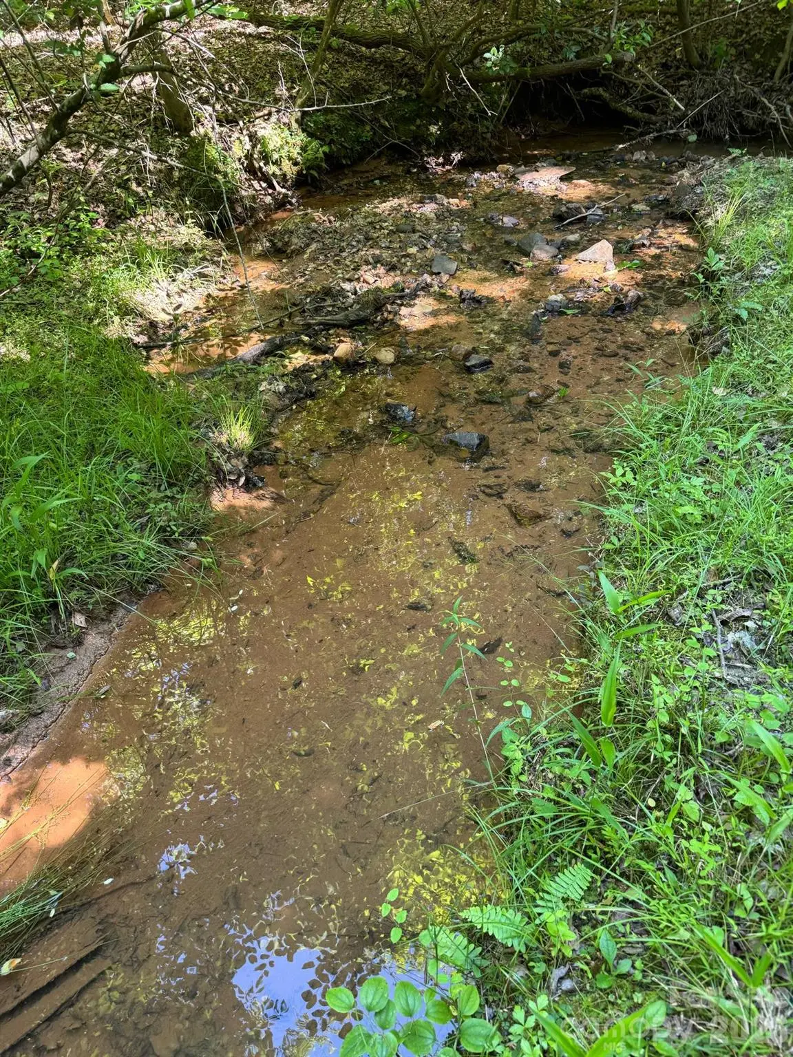 Lot 54 Billings Hill Church Road, Traphill, NC 28683 - #1