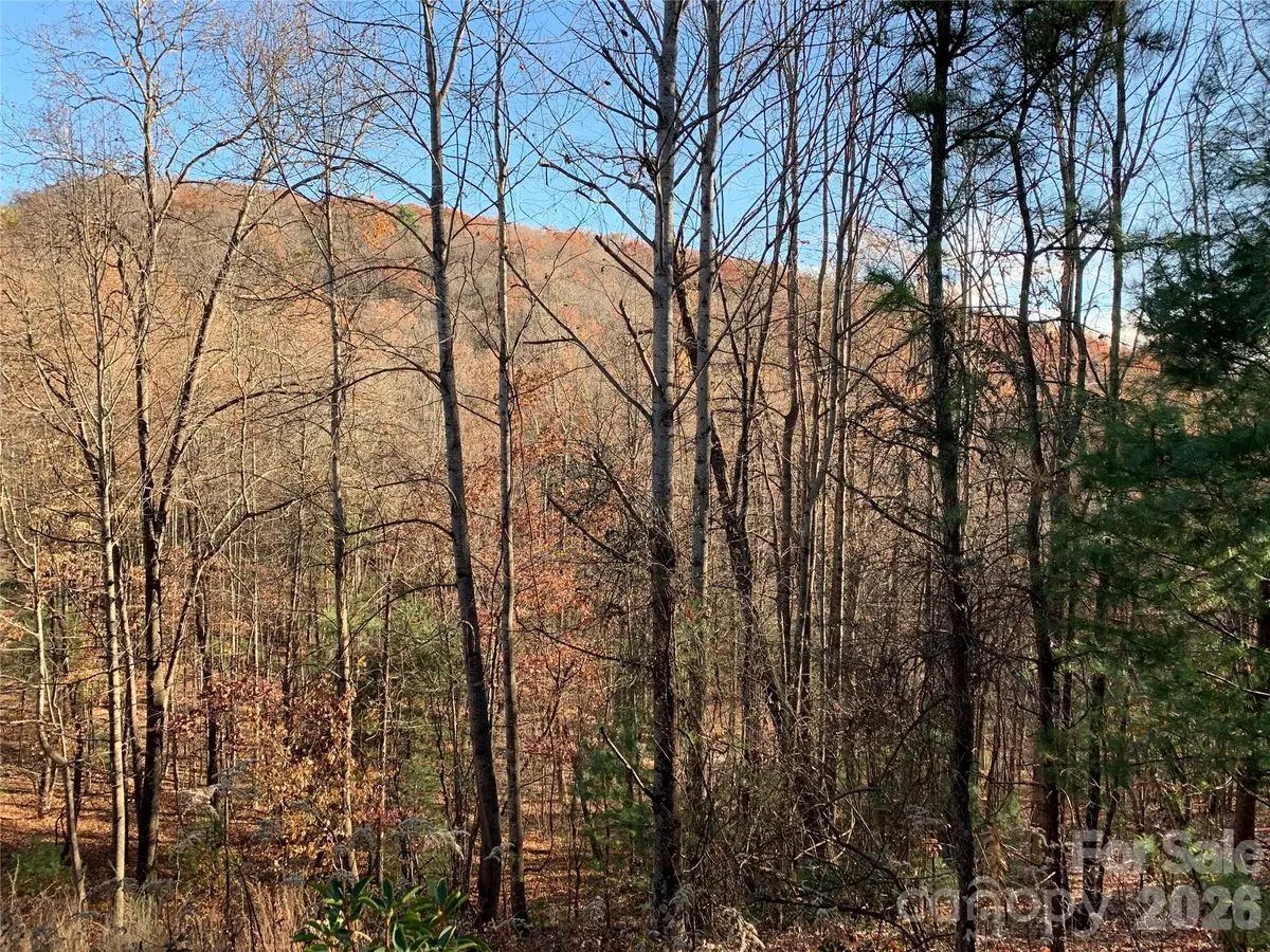 TBD (Lot 4) Wolf Den Lane #4, Lenoir, NC 28645 - #1