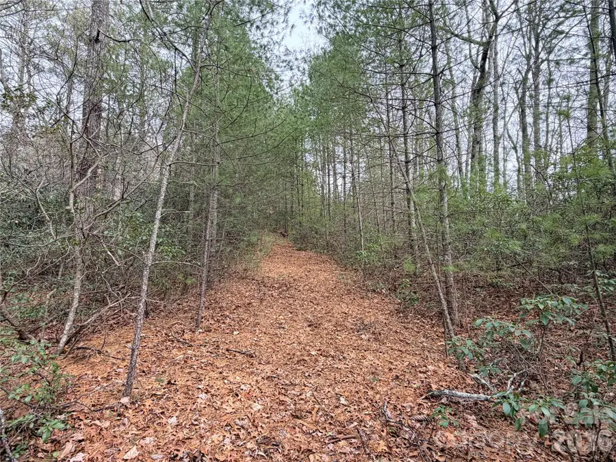 TBD (Lot 4) Wolf Den Lane #4, Lenoir, NC 28645 - #2