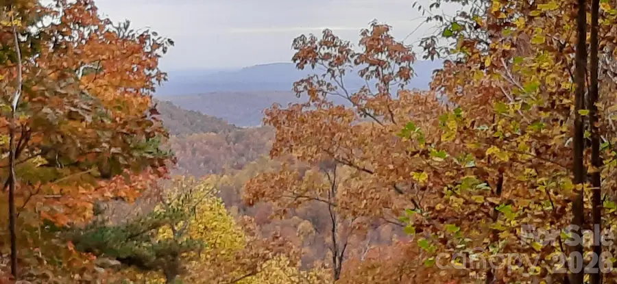 Lot 15 Dogwood Road, Moravian Falls, NC 28654 - #3