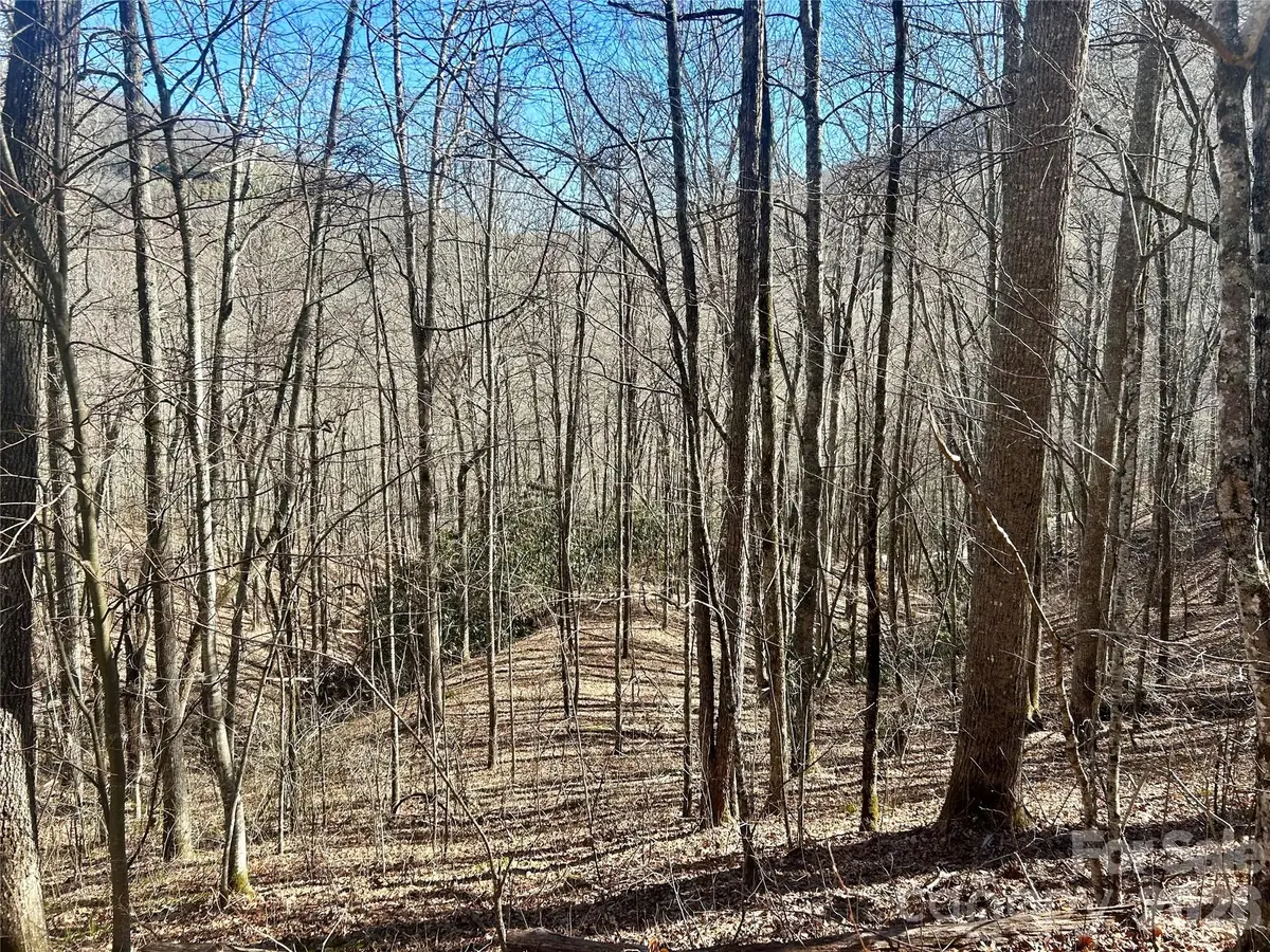 0 Deep Gap View #51&52&53, Whittier, NC 28789 - #1