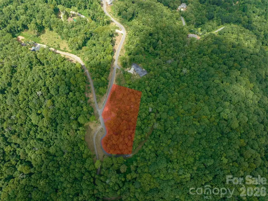 1394 Daydream Ridge, Swannanoa, NC 28778 - #3