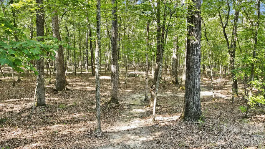 Lot 3 Indian Trail Fairview Road, Indian Trail, NC 28079 - #3