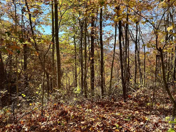 0 Owle View #30, Bryson City, NC 28713