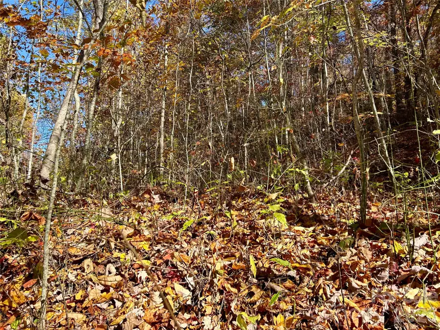 0 Owle View #30, Bryson City, NC 28713 - #3