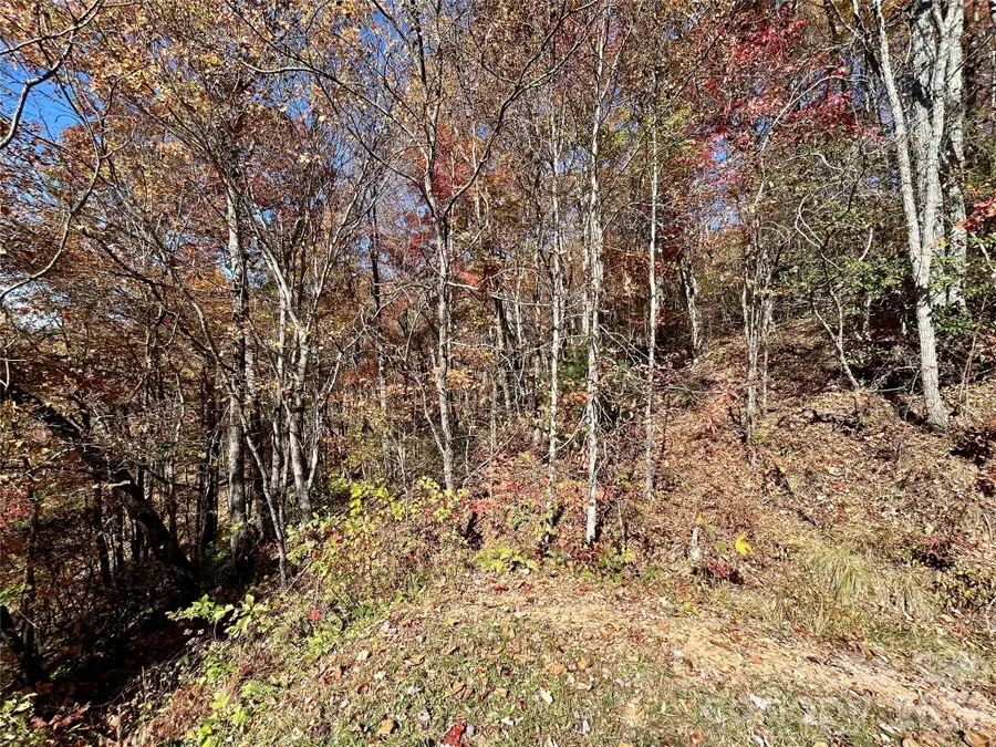 0 Grizzly Ridge #57, Bryson City, NC 28713 - #3