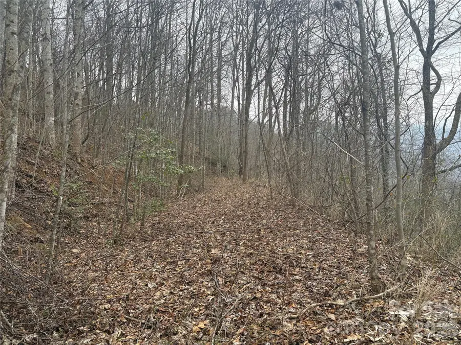 00 Country Club Drive #11, Whittier, NC 28789 - #3