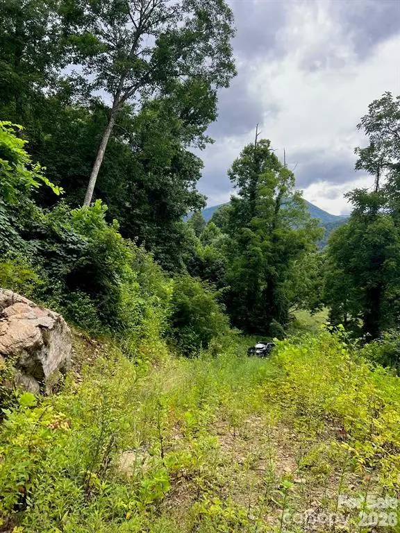 000 Shadyside Drive #8, Waynesville, NC 28785 - #2