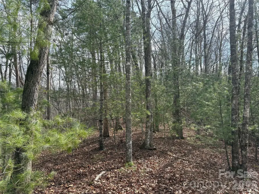 00 Round Hill Road #14, Bryson City, NC 28713 - #3