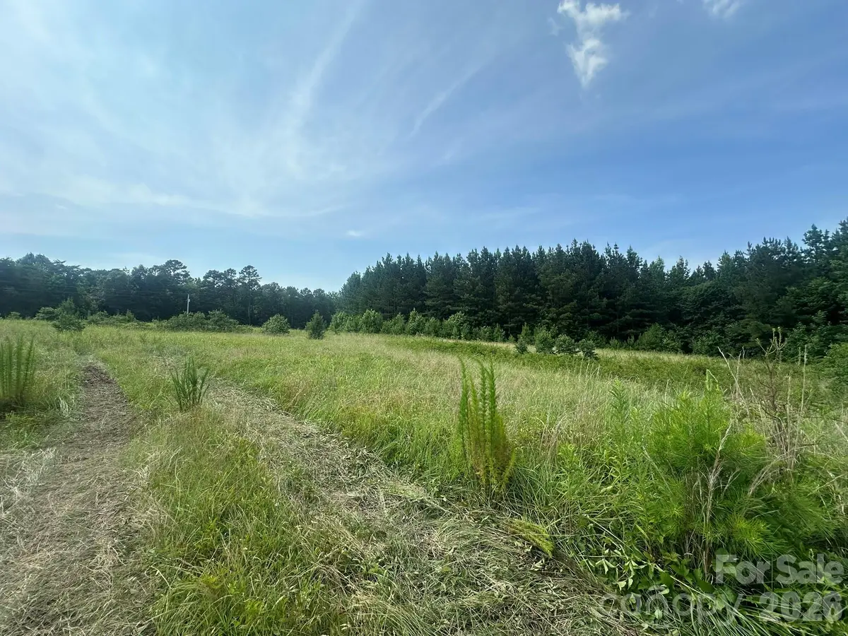 0 Hwy 73 Highway, Iron Station, NC 28080 - #1