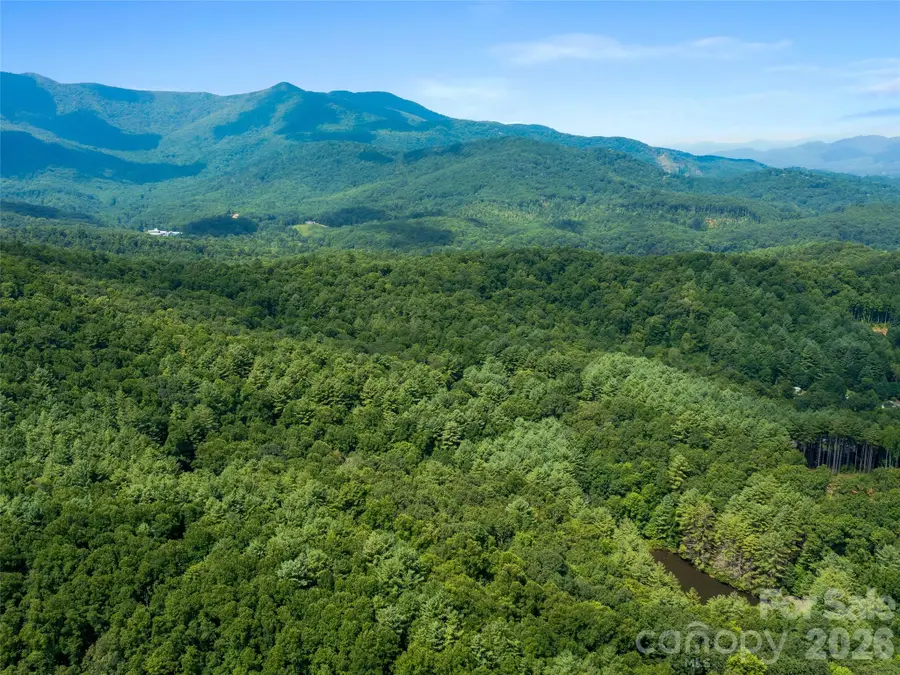 99999 Gordon Lane, Burnsville, NC 28714 - #2