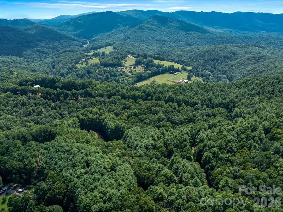 99999 Gordon Lane, Burnsville, NC 28714 - #3