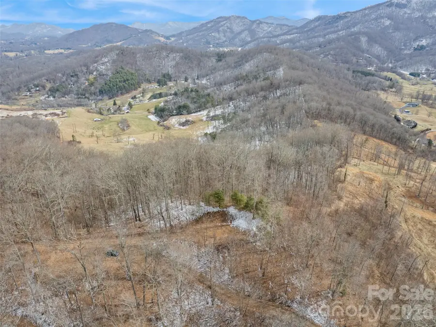 Lot #4 Viewpoint Mountain, Waynesville, NC 28786 - #3