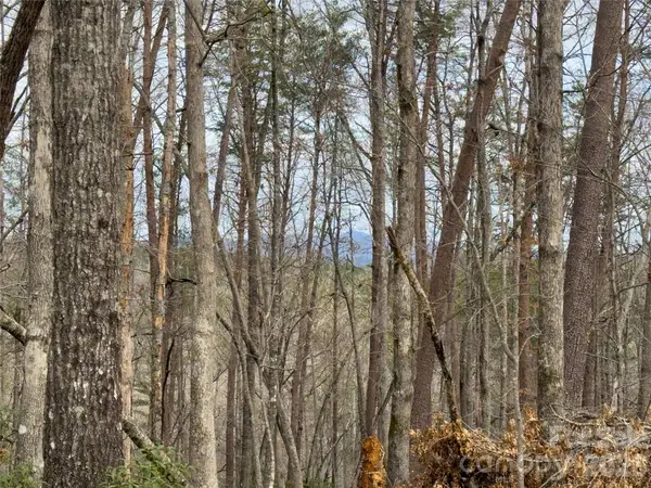 Lots 4-7 Carmel Ridge, Rutherfordton, NC 28139