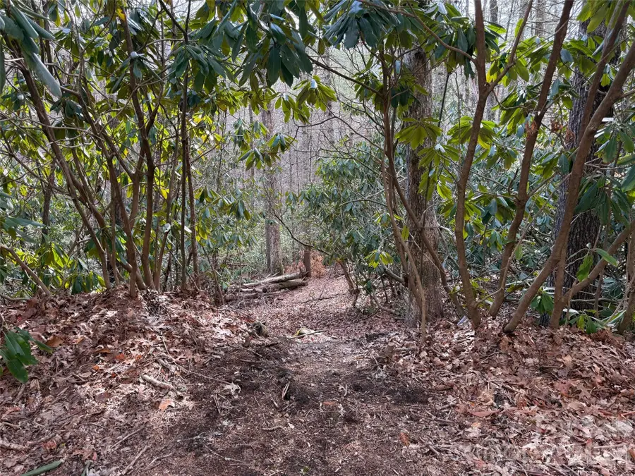 TBD Cherrywood Lane #L-12, Pisgah Forest, NC 28768 - #2