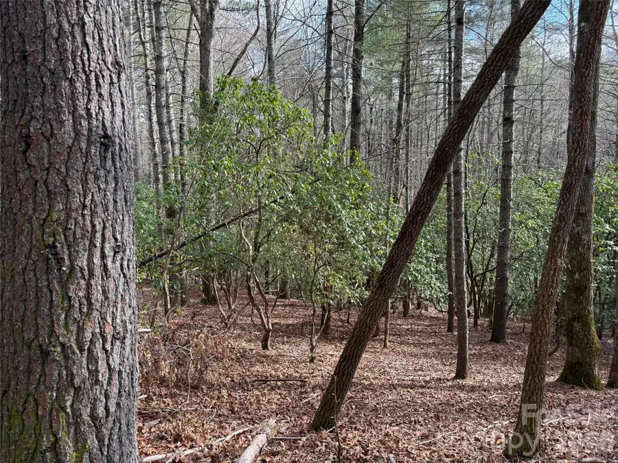 TBD Cherrywood Lane #L-12, Pisgah Forest, NC 28768 - #3