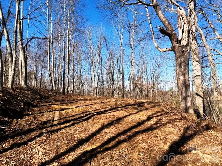 Lot 9 Vilas Overlook Drive #9, Vilas, NC 28692 - #2