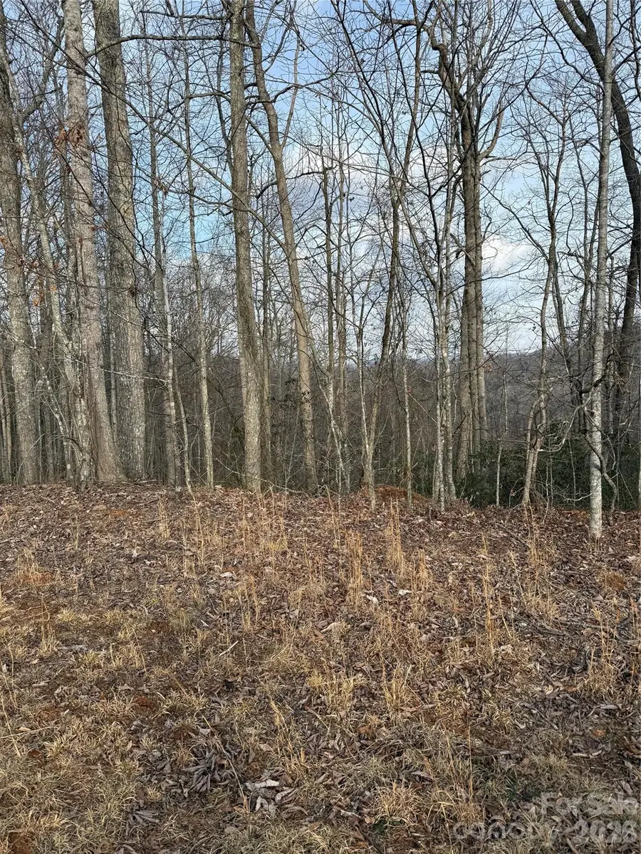 0 White Fawn Drive, Spruce Pine, NC 28777 - #2