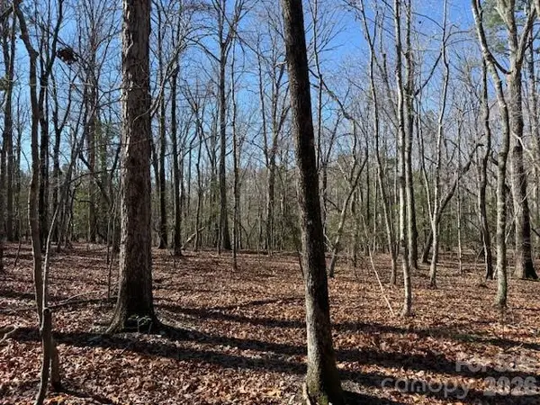 0 Thayer Road, Troy, NC 27371