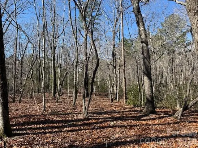 0 Thayer Road, Troy, NC 27371 - #2