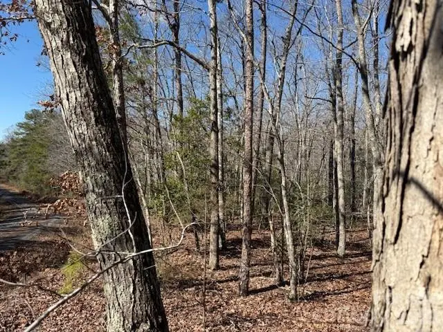 0 Thayer Road, Troy, NC 27371 - #3