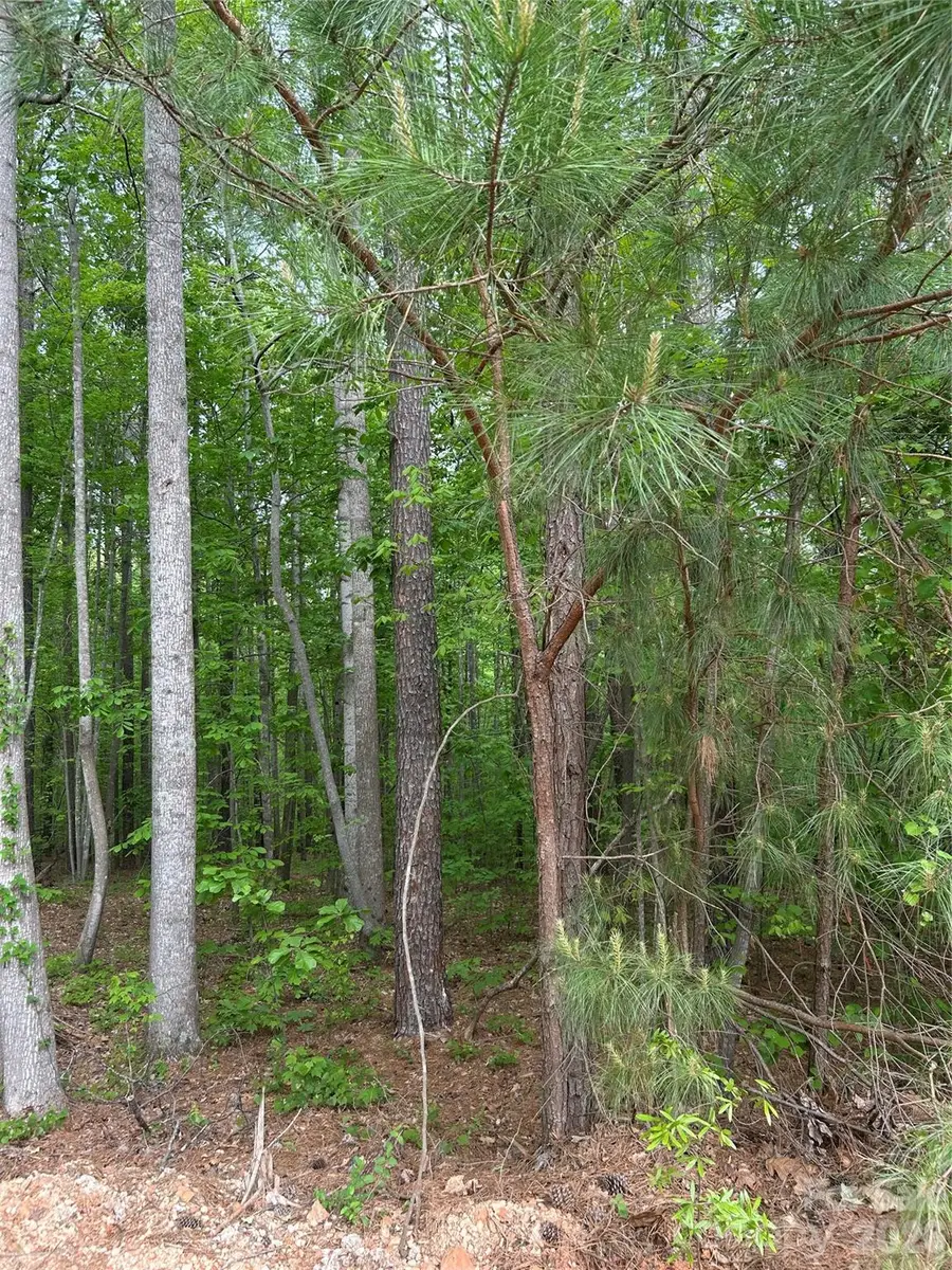 7300 Bay Cove Court, Denver, NC 28037 - #2