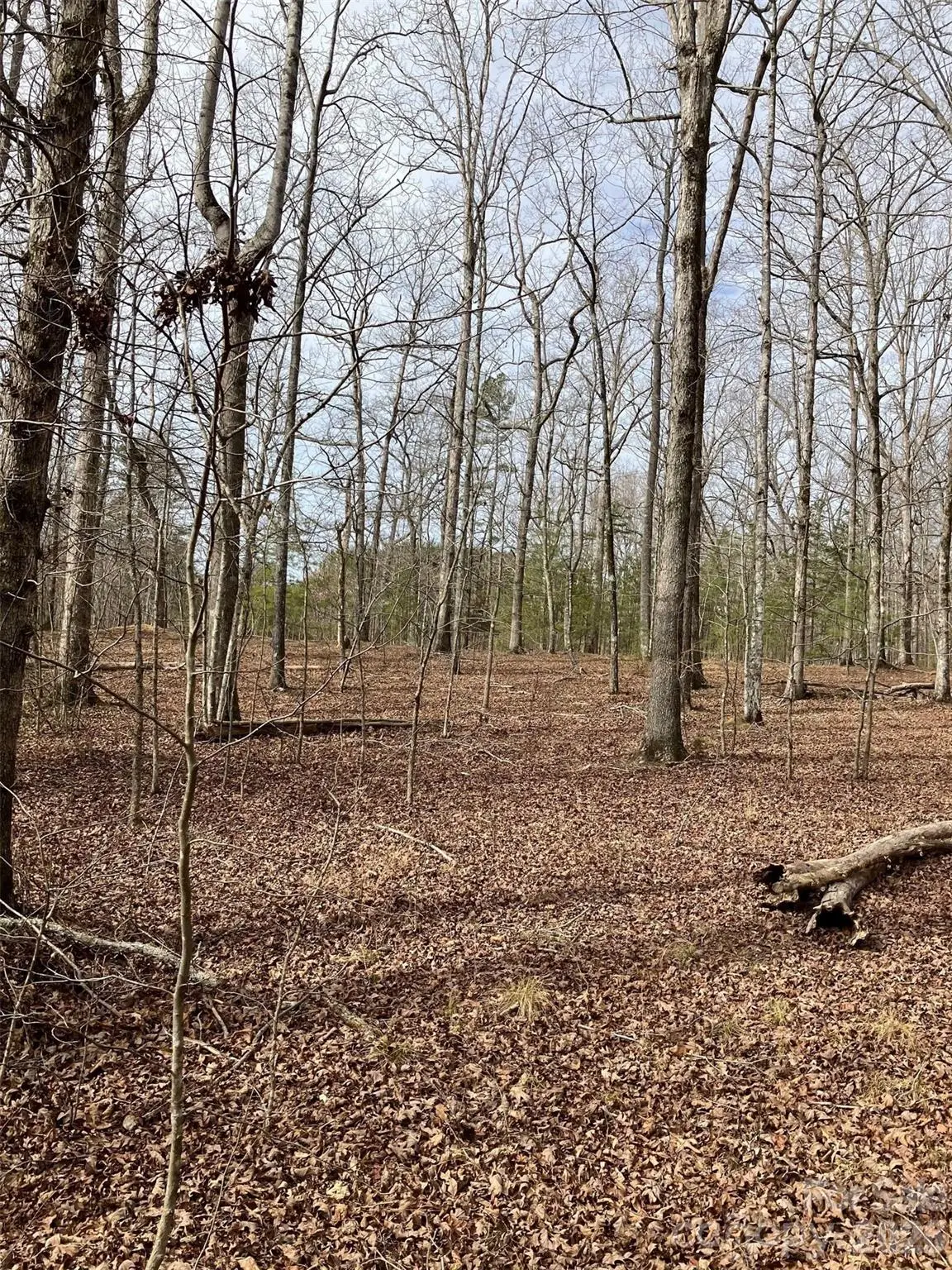 Lot 7A Springbrook Court, Columbus, NC 28722 - #1