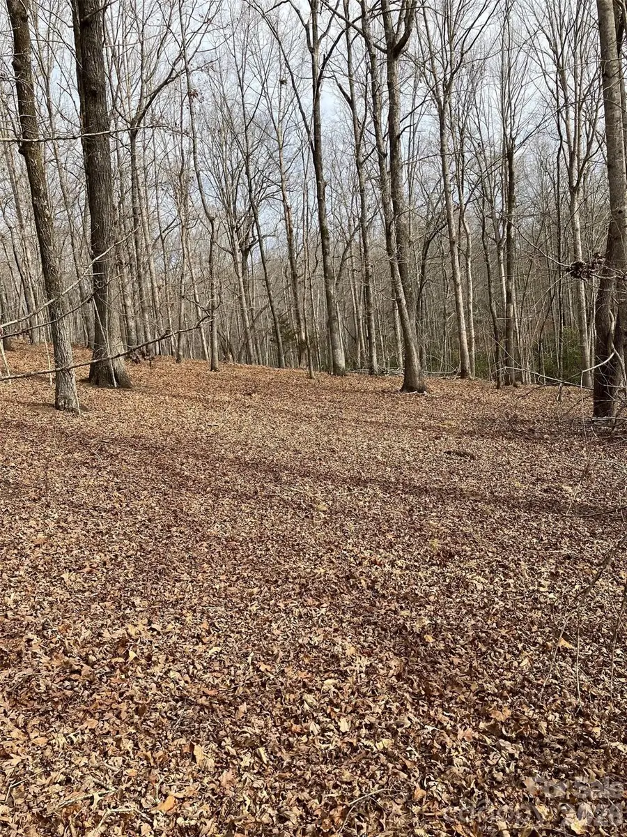 Lot 7A Springbrook Court, Columbus, NC 28722 - #2