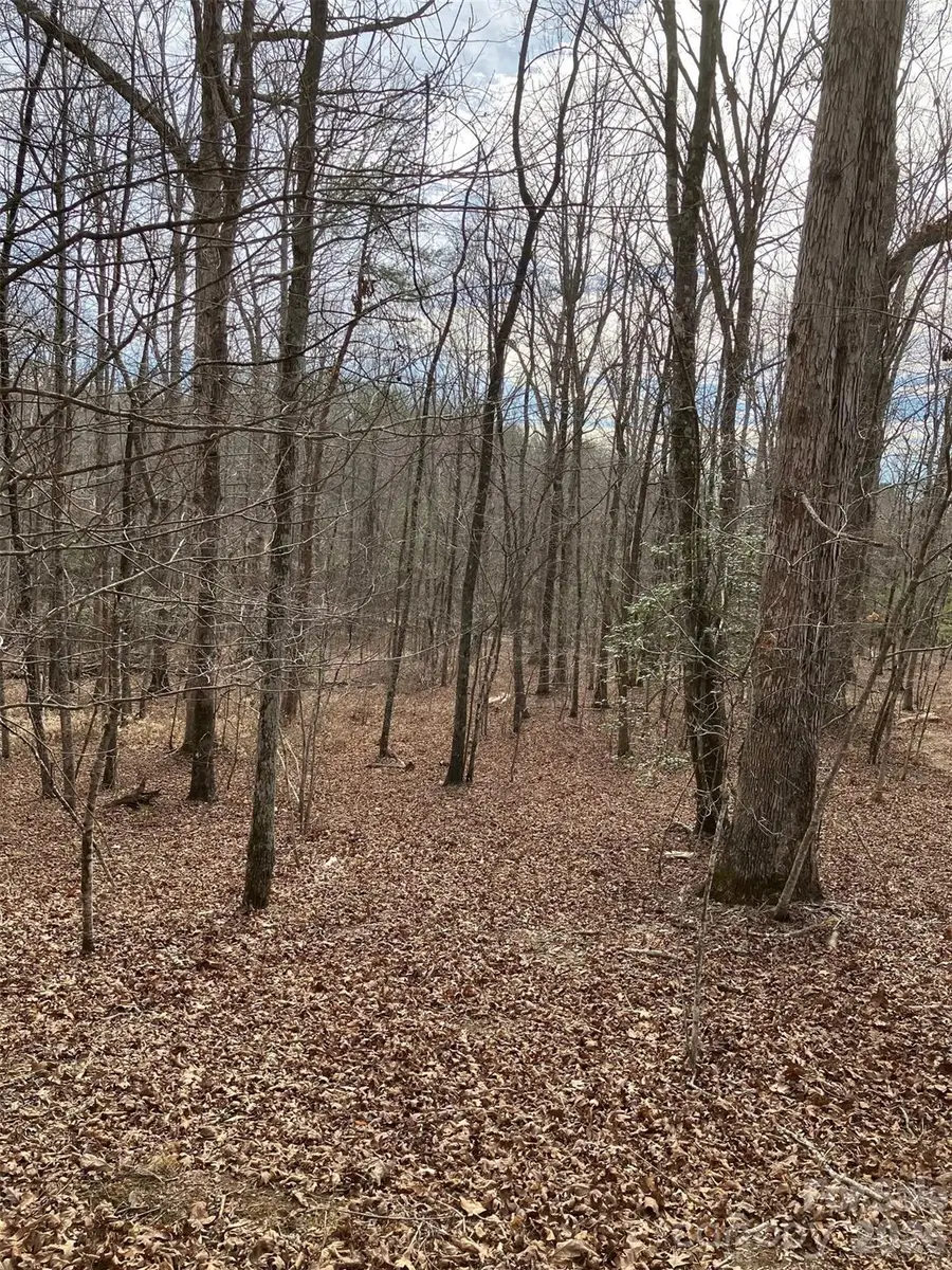 Lot 7A Springbrook Court, Columbus, NC 28722 - #3