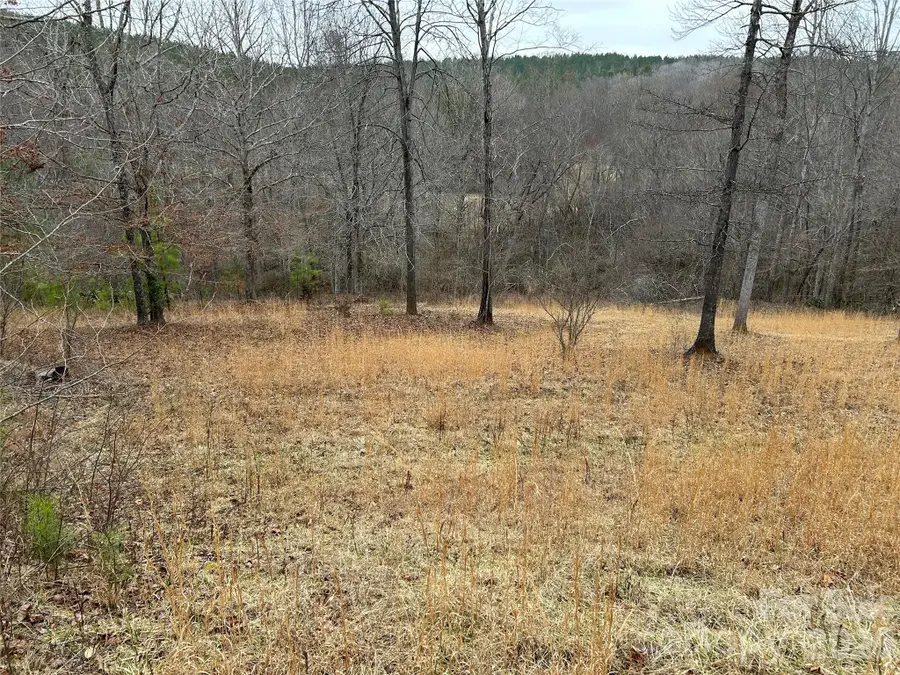 322 Balmy Lane, Rutherfordton, NC 28139 - #2