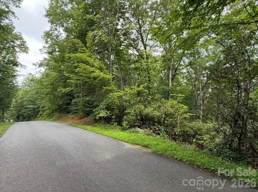 V/L Bat Cave Road, Old Fort, NC 28762 - #2