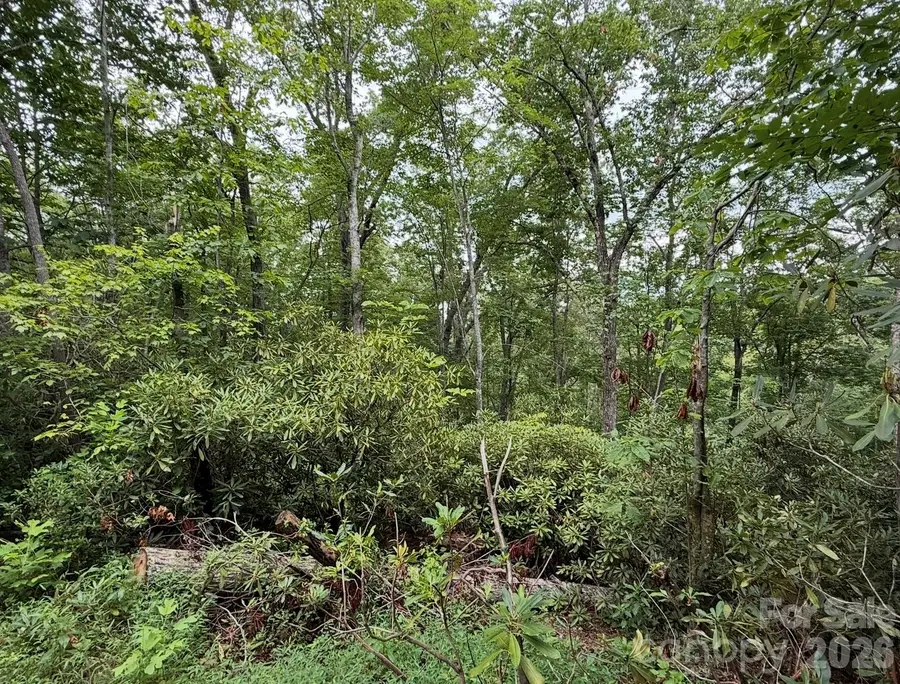 V/L Bat Cave Road, Old Fort, NC 28762 - #3