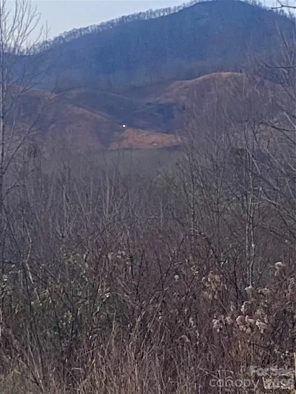 100 Culvin Creek Road, Marshall, NC 28753