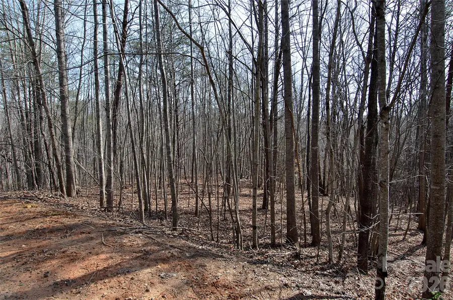 00 Sundance Drive #3-IV, Nebo, NC 28761 - #2