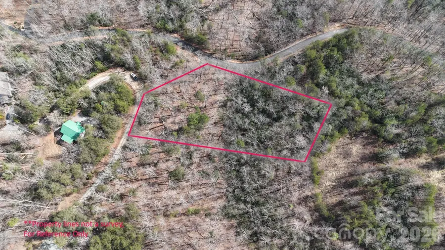 0 Birddog Boulevard #328, Lake Lure, NC 28746 - #3