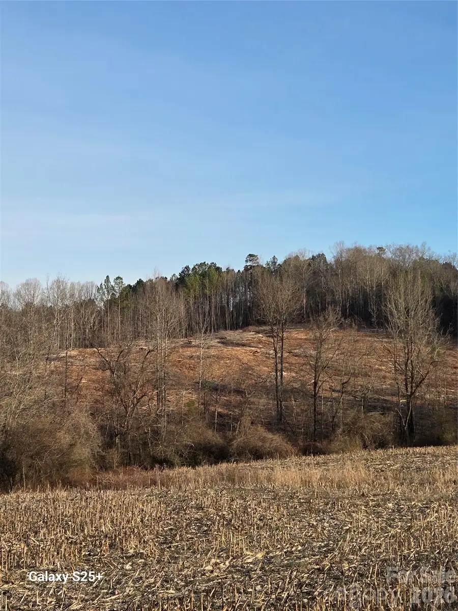 VACANT LAND Pole Running Road, Mount Pleasant, NC 28124 - #3