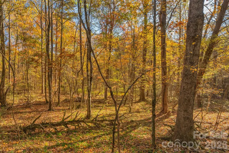 0000 Bud Davis Road #8, Vale, NC 28168 - #2