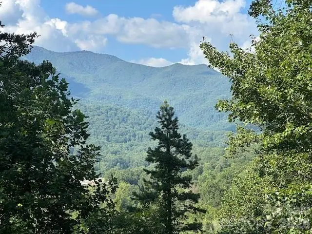 232 Heavenly View Drive, Sylva, NC 28779 - #2