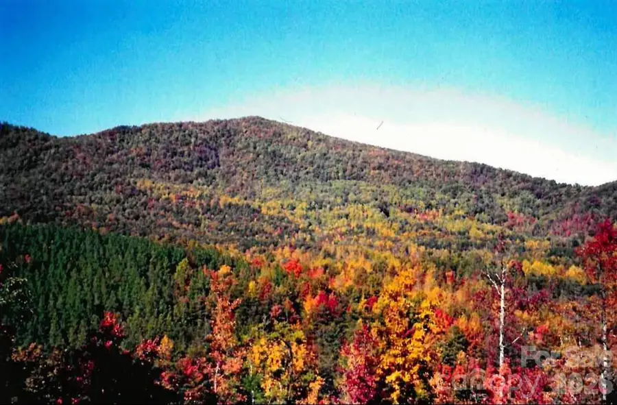 000 Froggyville Lane, Mill Spring, NC 28756 - #2