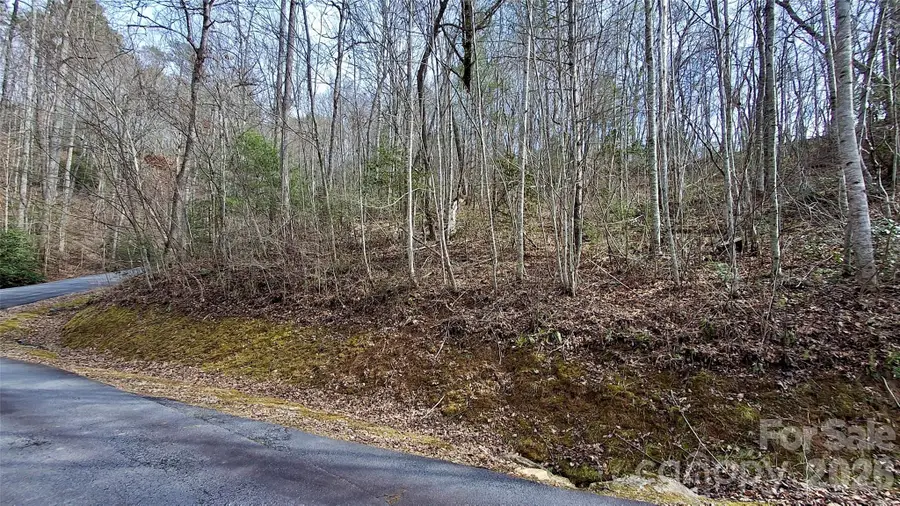 0 Hollywalk Trail #4, Sylva, NC 28779 - #2