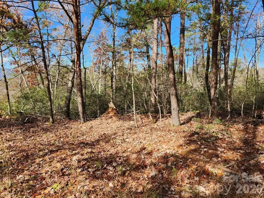 0 Sparrows Way #46, Lake Lure, NC 28746 - #2