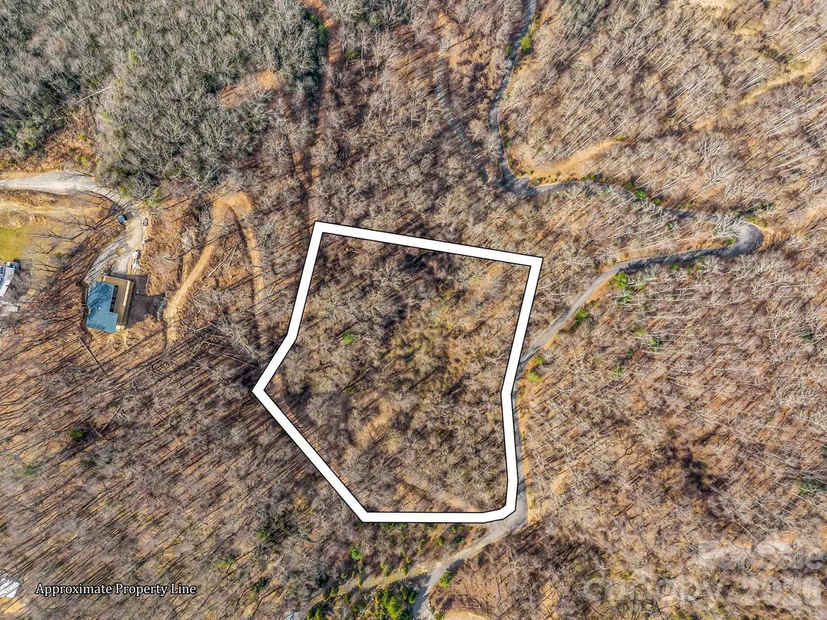 99999 Rose Hill Road, Asheville, NC 28803 - #1