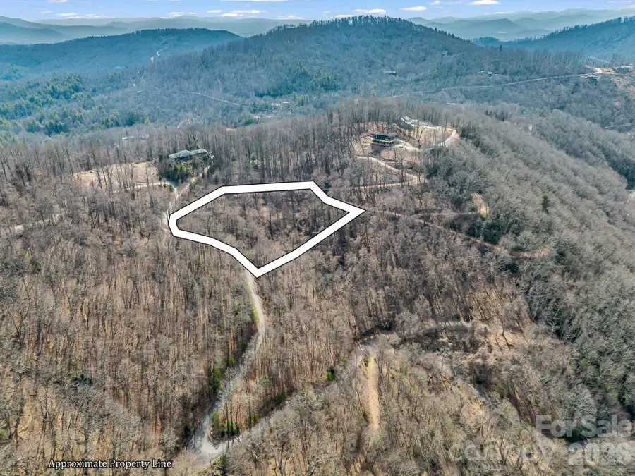 99999 Rose Hill Road, Asheville, NC 28803 - #3