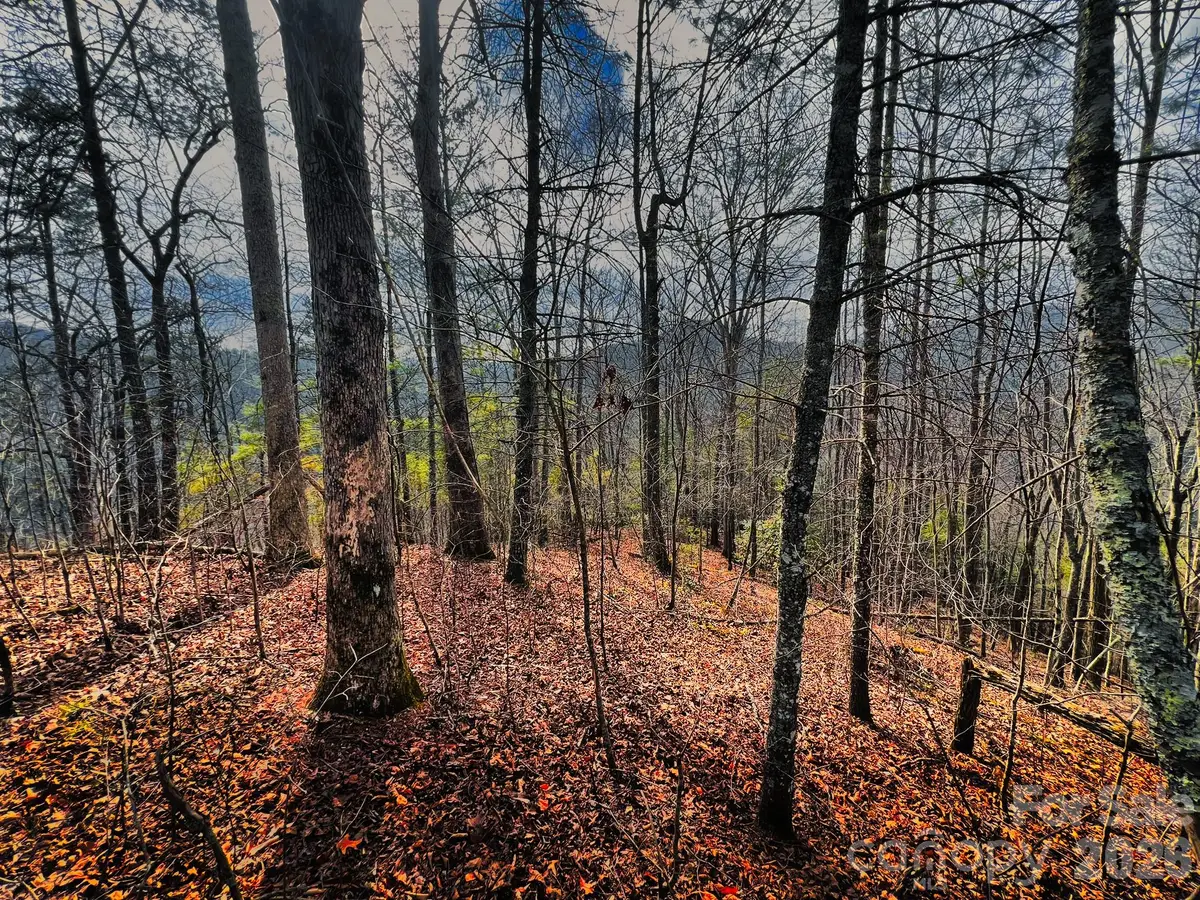 232 Thorncliff Road #82, Marshall, NC 28753 - #1