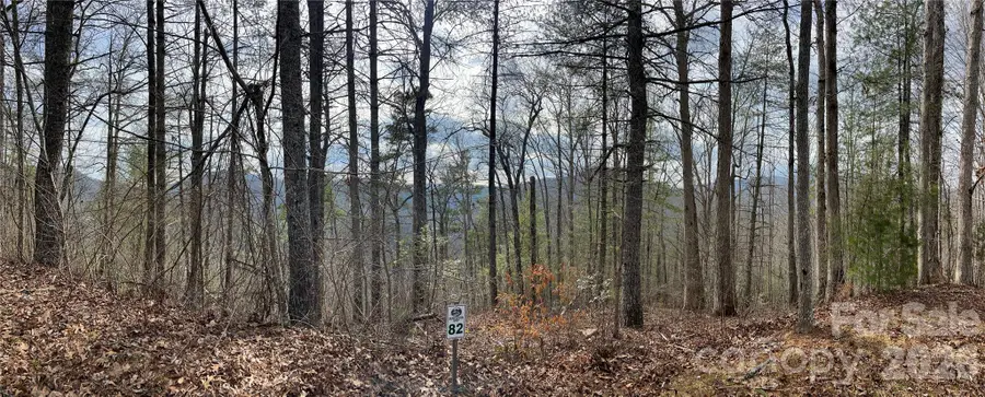 232 Thorncliff Road #82, Marshall, NC 28753 - #3